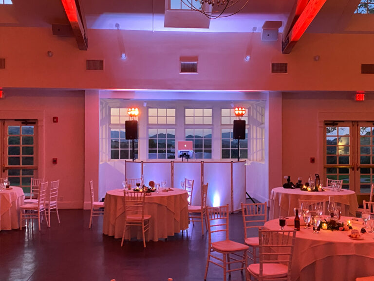 Why a Professional Wedding DJ Is Worth It (Not Just Someone With Spotify)