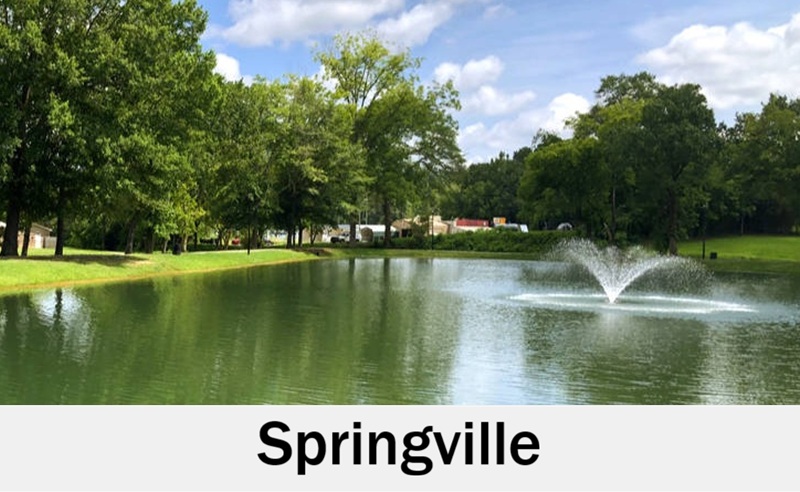Springville, Alabama park setting for outdoor wedding ceremonies