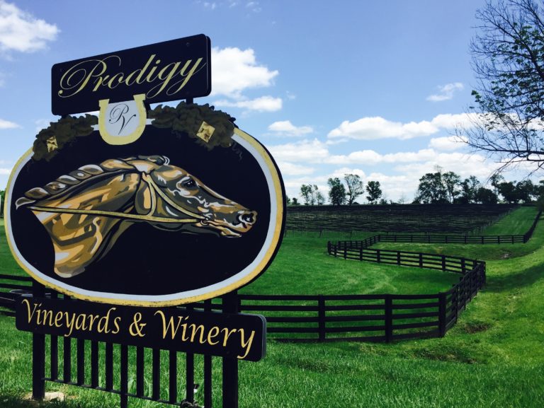 Prodigy Vineyards & Winery wedding venue in Frankfort KY